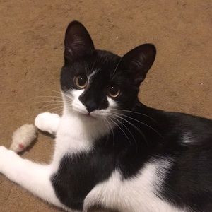 Meet your Posher, Marylane